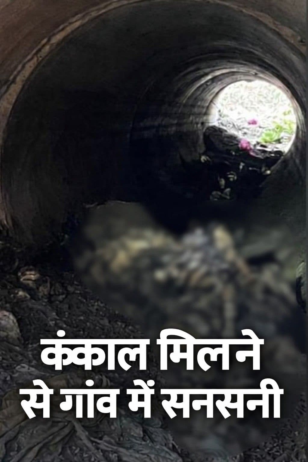 कंकाल मिलने से गांव में सनसनी, लापता ग्रामीण होने की आशंका